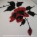 画像4: 薔薇柄１６cm丸深皿 Ｊｙｏｔｏ：：昭和レトロ (4)