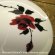 画像2: 薔薇柄１６cm丸深皿 Ｊｙｏｔｏ：：昭和レトロ (2)